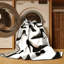 Tapis de couleur unie beige et luxueux lavable à la machine Brooksville-420829918