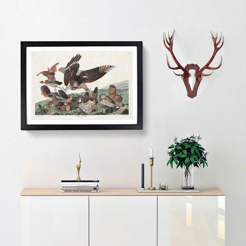 Virginia Partridges by John Audubon - Picture Frame Painting Print, 27cm H x 36cm W x 2cm D, Black Framed