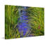 Chris Vest - Wrapped Canvas Print-20254173
