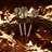 Fat Cat Realtree Hardwoods HD Camouflage Tip Dart