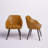 Carlana 19.5'' H Upholstered Beech Arm Chair