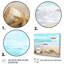 Étoile de mer et coquillages III - impression-88548549-88548544