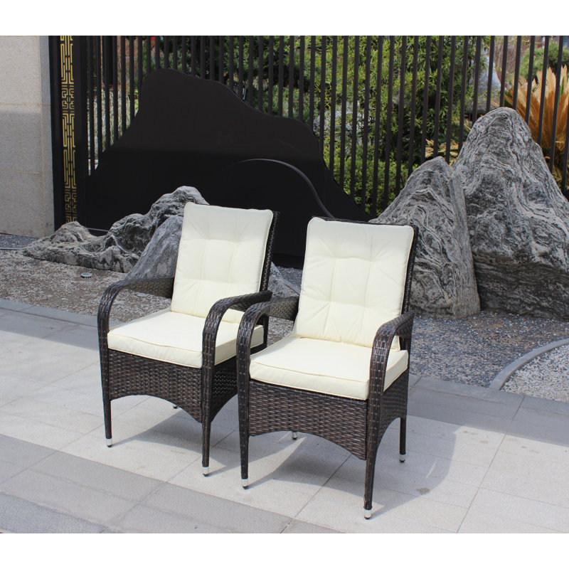 2Piece Liberatore Dining Chairs With Cushions