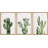 «Minimal Botanical Green Southwestern Cactus Deser Western Botanical», reproduction d'art sur toile 3 pièces-72966897-72966900