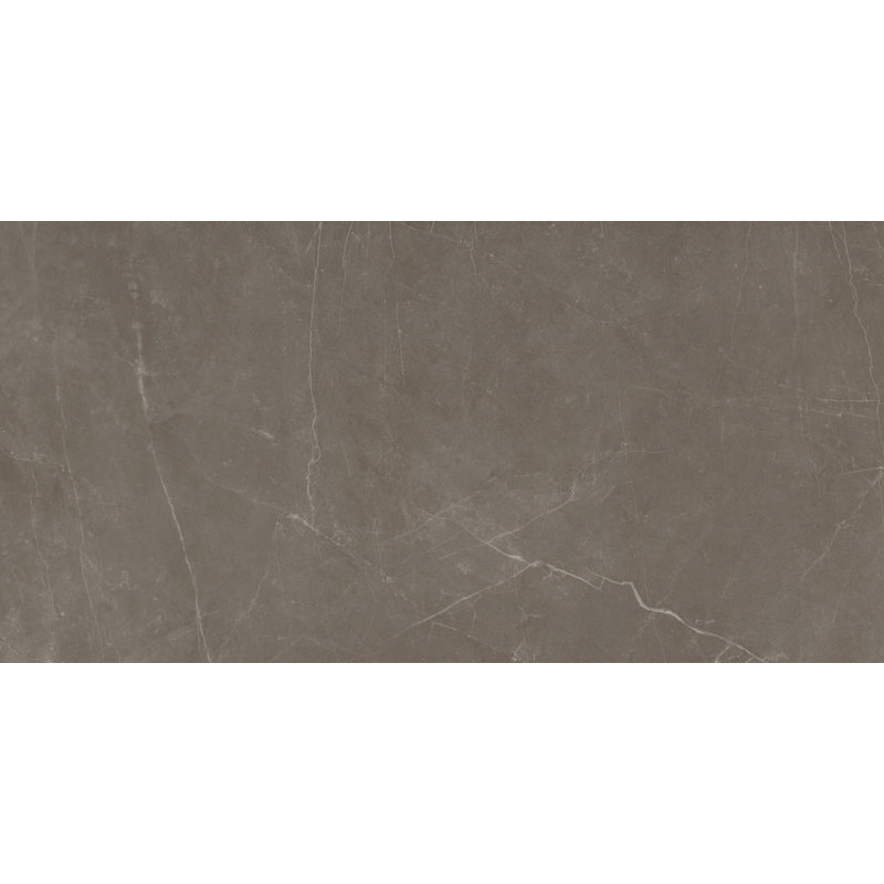 Sterlina II Silver 12 in. x 24 in. Matte Porcelain Floor and Wall Tile (15.5 sq. ft./Case), Henna 