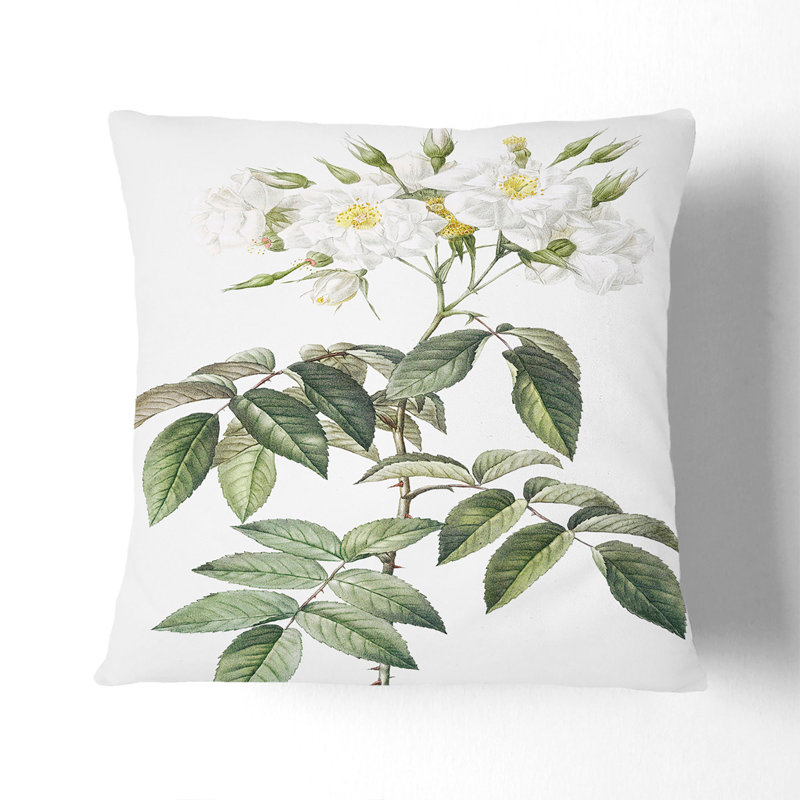 Square Throw Cushion, 55cm H x 55cm W x 20cm D