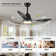 42" Smart Ceiling Fan With Lights Remote