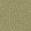 Surfaces Collection Bark Texture Wallpaper Roll-397560268