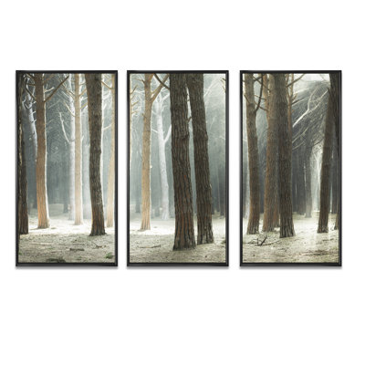 Maritime Pine Tree Forest With Rays " Maritime Pine Tree Forest With Rays " 3 - Pieces Painting Print