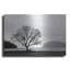 «Picnic Tree» par Photoinc Studio, art mural en métal-725232536