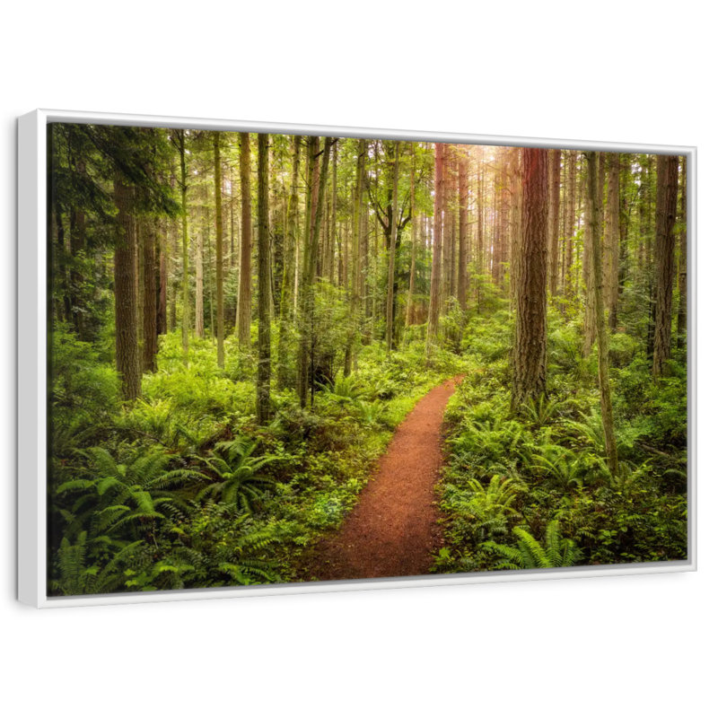 Washington Rainforest, Cadre flottant blanc, 43 po x 29 po