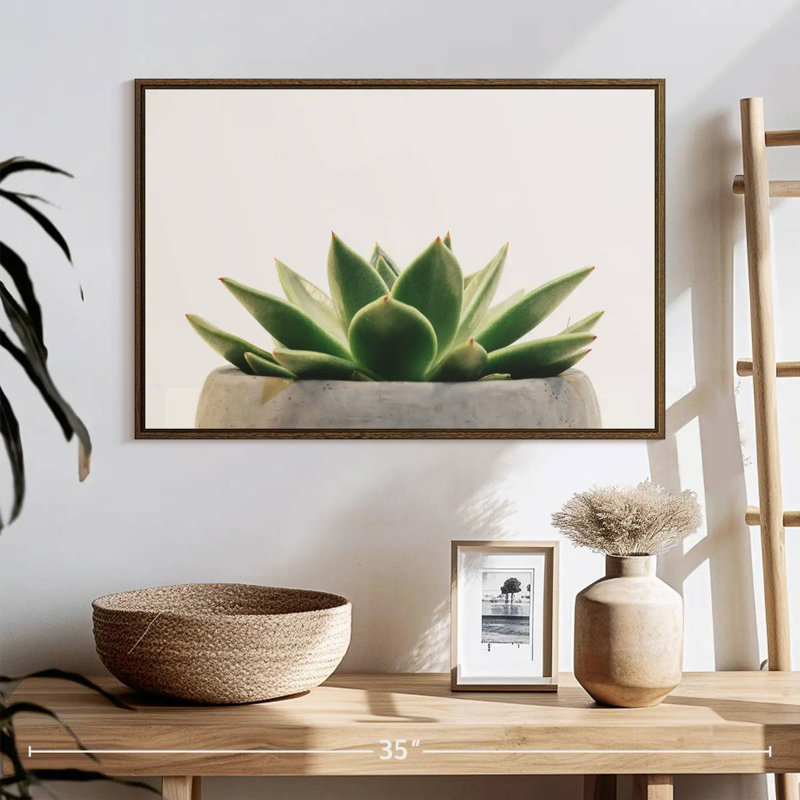 Plante grasse en pierre, 25 po x 17 po, Cadre flottant en noyer