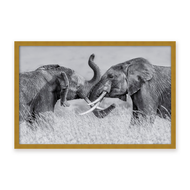 Nature Inspired Elephant Tai Chi by  - Picture Frame Photograph on Paper, 16" H x 24" W x 1.125" D, Black