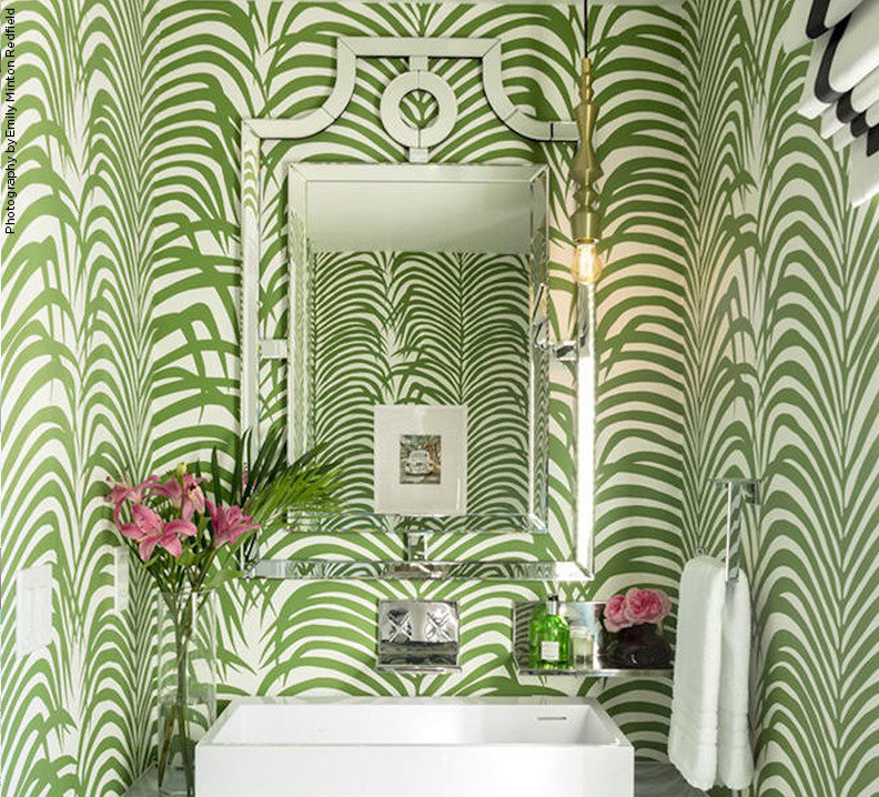 Zebra Palm Wallpaper, Jungle