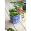 Ensemble de 4 pots de fleurs en terre cuite D7.5X6, bleu blanc vieilli
