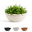 Terra Traditional Plastic Indoor/Outdoor Round Planter Bowl-1243810778-1243810779