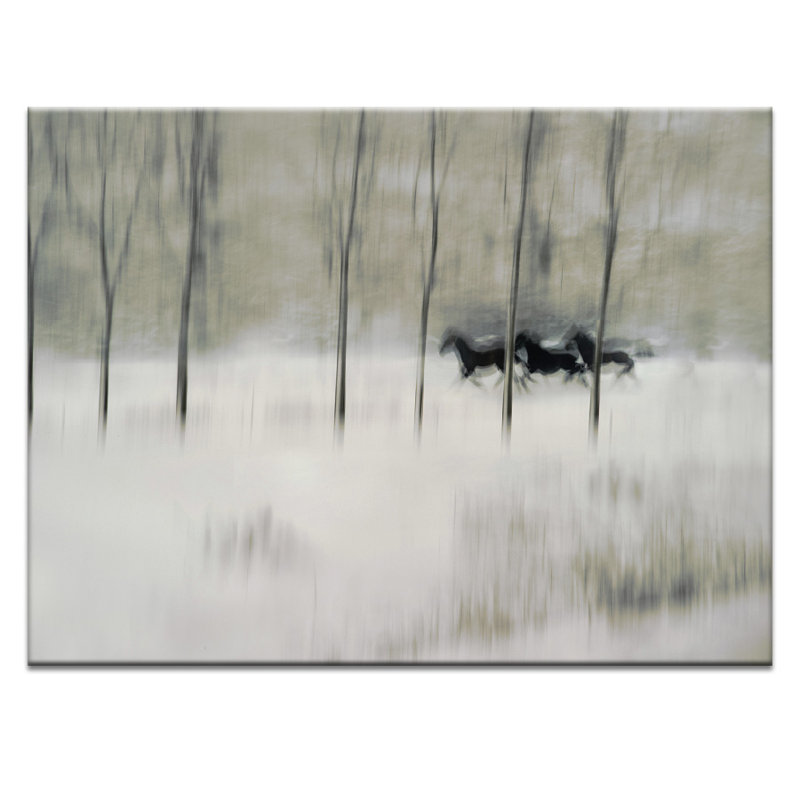 Print on Canvas, 41cm H x 51cm W, Wrapped Canvas