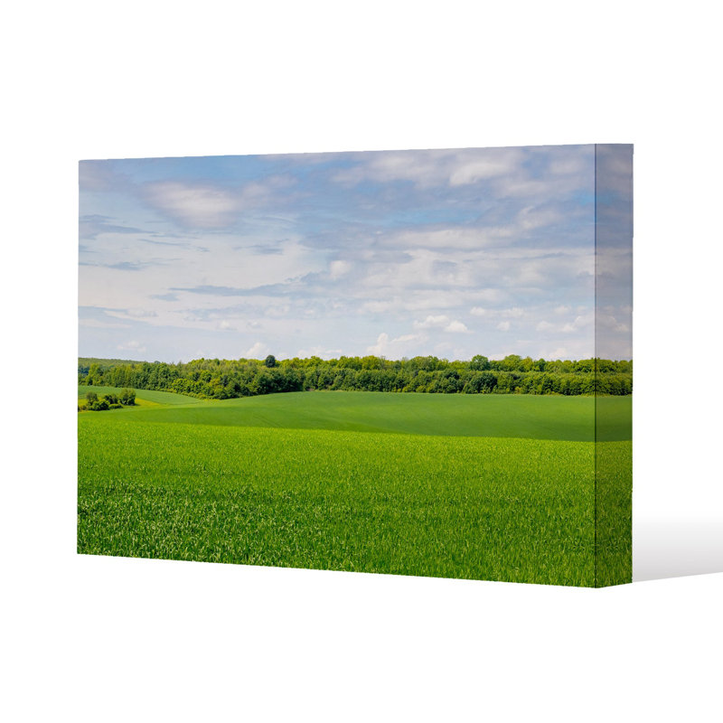 Summer landscape with hilly field and forest in the distance Slim Style Canvas Print, 15mm Slim Real wood.