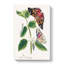 Caterpillars & Butterflies - Wrapped Canvas-55370649