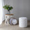 Collection S / 5 French Country Home Decor avec plante artificielle, vase, plateaux, tabouret et table d'appoint