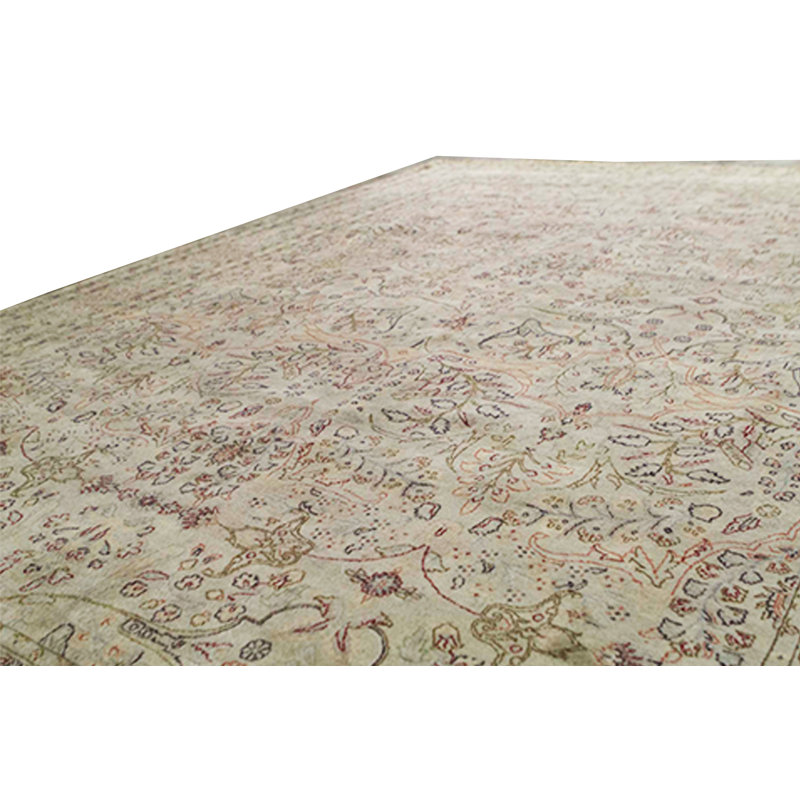 Wool Oriental Area Rug in Beige