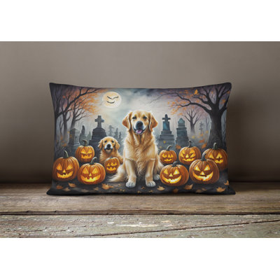  Other/No Pattern Polyester Indoor/Outdoor Throw Pillow