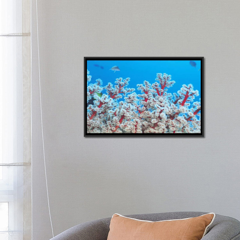 «Marine and Ocean Gorgonian Coral», reproduction de photo sur toile, H 18 po x l 26 po x P 1,5 po, Toile avec cadre noir