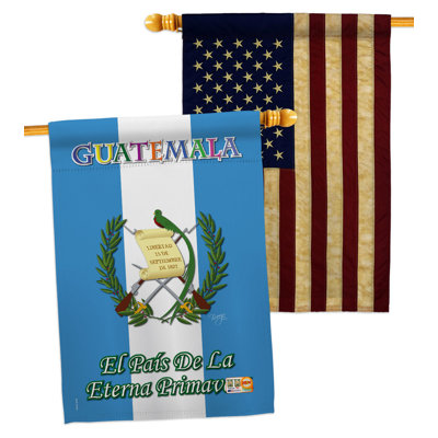 Double Sided 40'' H x 28'' W Polyester House Flag