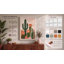 Cacti in Bloom Botanical - Wrapped Canvas-894708199-894708216