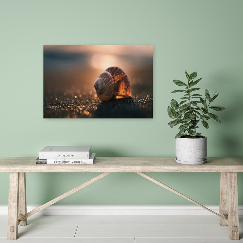 «Golden Hour», impression d'art mural coquillage paisible et serein, 16" H x 24" W
