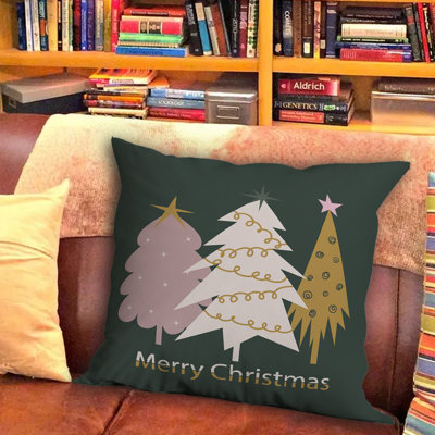 Throw Pillow Carter Throw Pillow