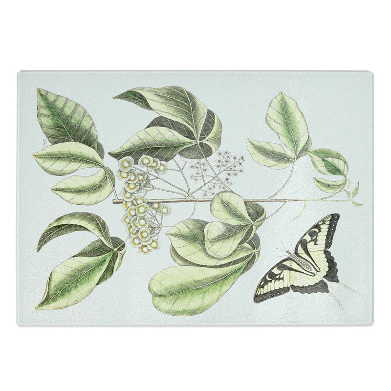 Tempered Glass Swallowtail Butterfly by Mark Catesby Chopping Board, 39 cm W x 28.5 cm L