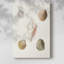 Pastel Knorr Shells - Pasta-700627074