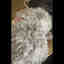 Photos des clients 1 de 1