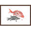 Andrew Clay - Single Picture Frame Print-20604337