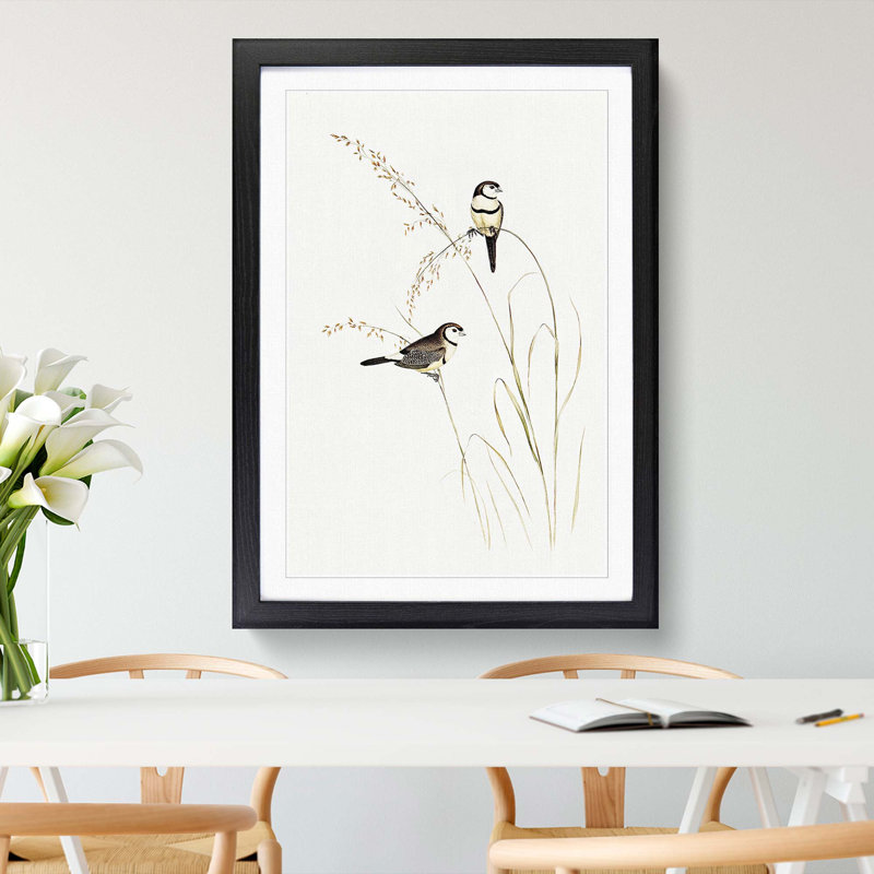 Double-Barred Finch by Elizabeth Gould - Framed Print, 48cm H x 36cm W x 2cm D, Black Framed