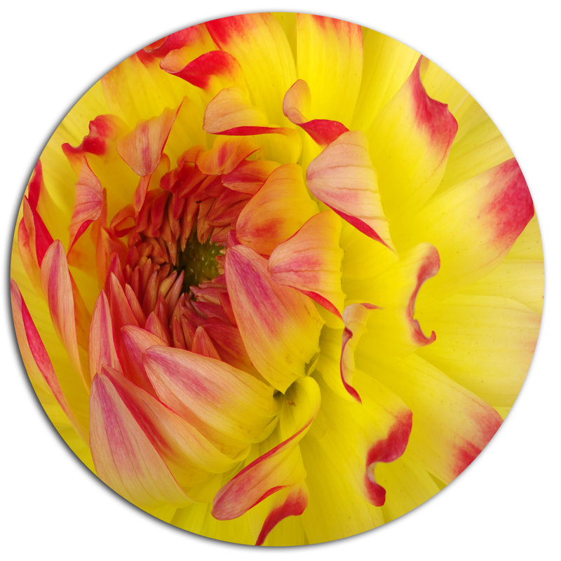 « smooths red yellow », reproduction de photo sur métal, H 36 po x l 36 po x P 1 po