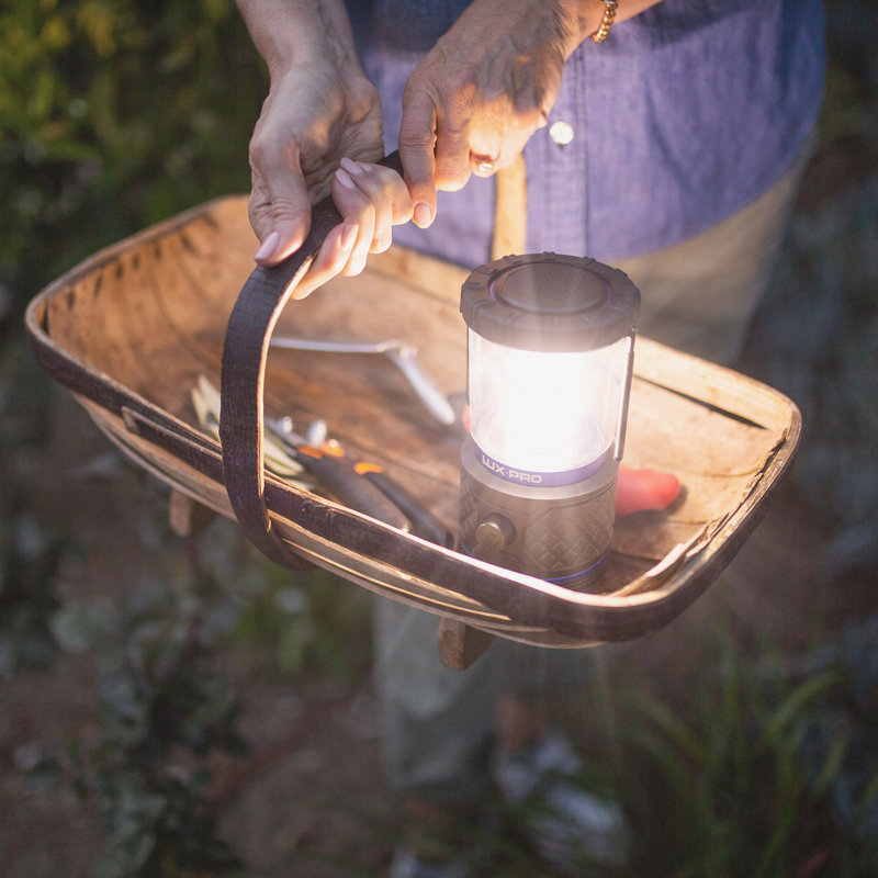 6.62'' Battery Powered Integrated LED Outdoor Lantern