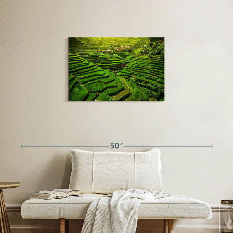 Terrasses de riz historique Alugord Ifugao, H 20 po x l 30 po