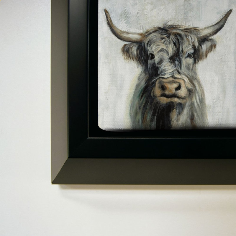 Vache Highland, H 40 po x l 40 po, Noir
