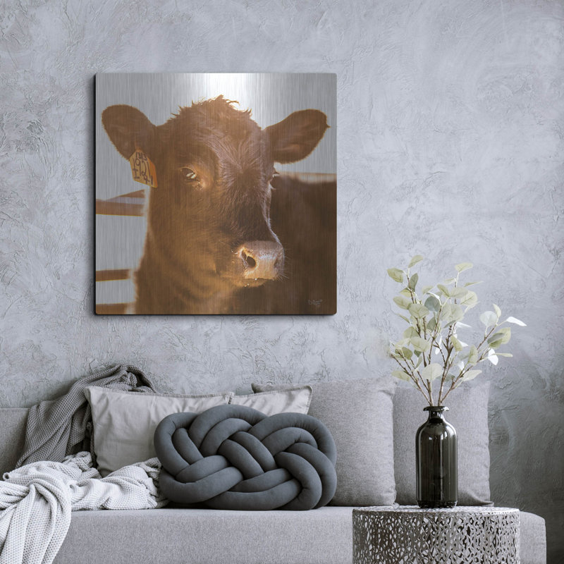 «Baby Cow I» par Donnie Quillen, H 36 po x l 36 po