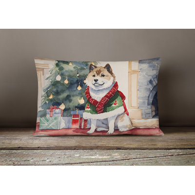  Other/No Pattern Polyester Indoor/Outdoor Throw Pillow