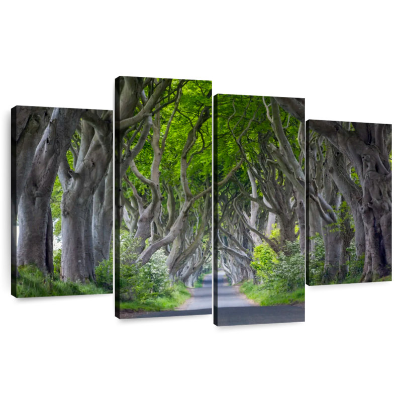 Harnek The Dark Hedges In Ireland, H 22 po x l 36 po