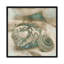John Seba - Print on Canvas-34180098-101336166