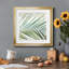 «Palm View II» par J Paul, reproduction d'art sur papier encadrée-167990069-167990068
