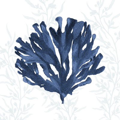 «Decorative Navy Coral II», impression sur toile tendue