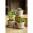 Abordale Statue Planter