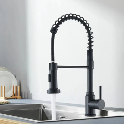 Weil Single Lever Monobloc Tap with Side Spray