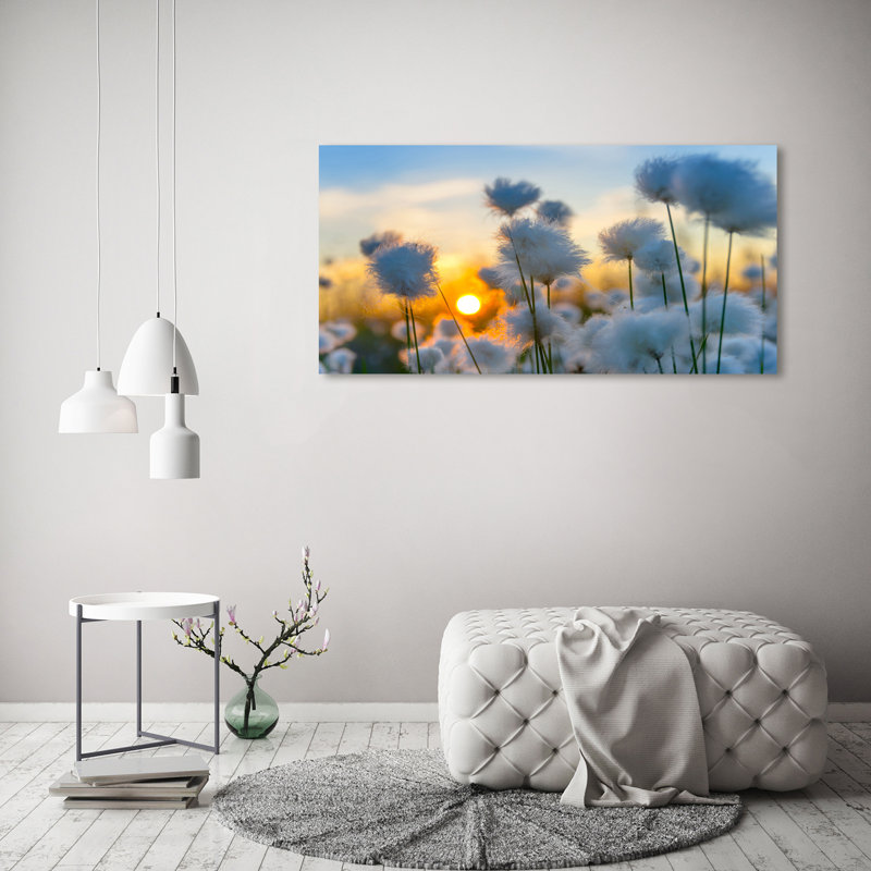 Cotton-grass - Wrapped Canvas Print