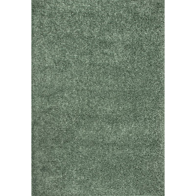 Abbiney Performance Shag Green Rug